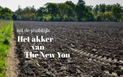 Het akker van The New You