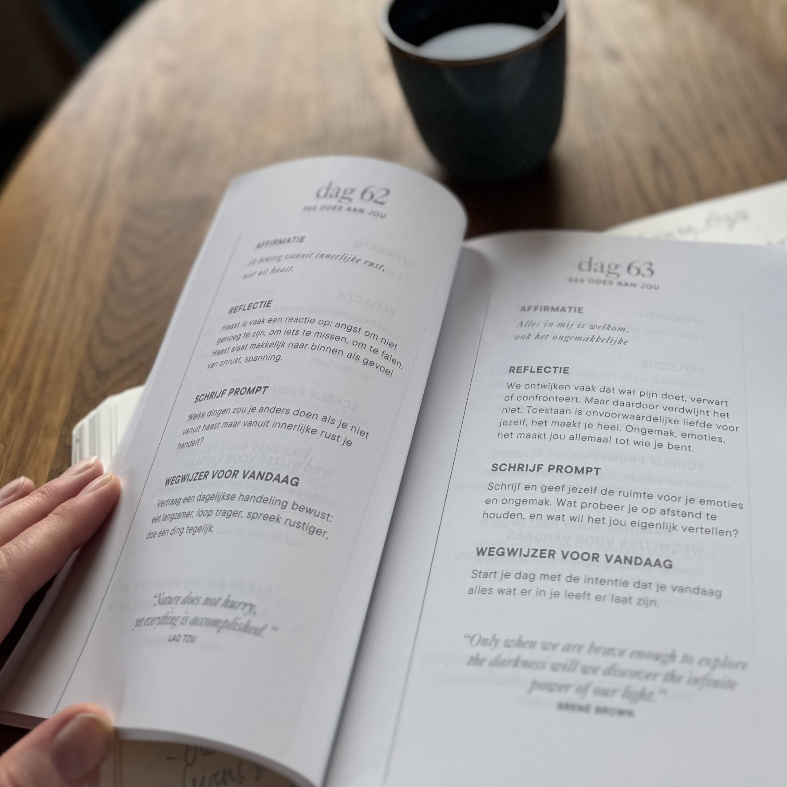 Boek 366 Odes aan jou – Tiara Kroes Krachtzieners